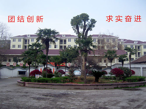 永磷风采9