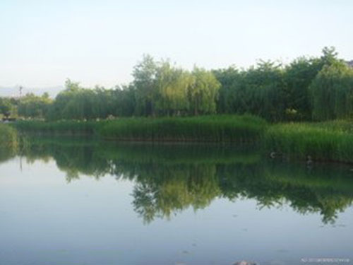 永磷风采14
